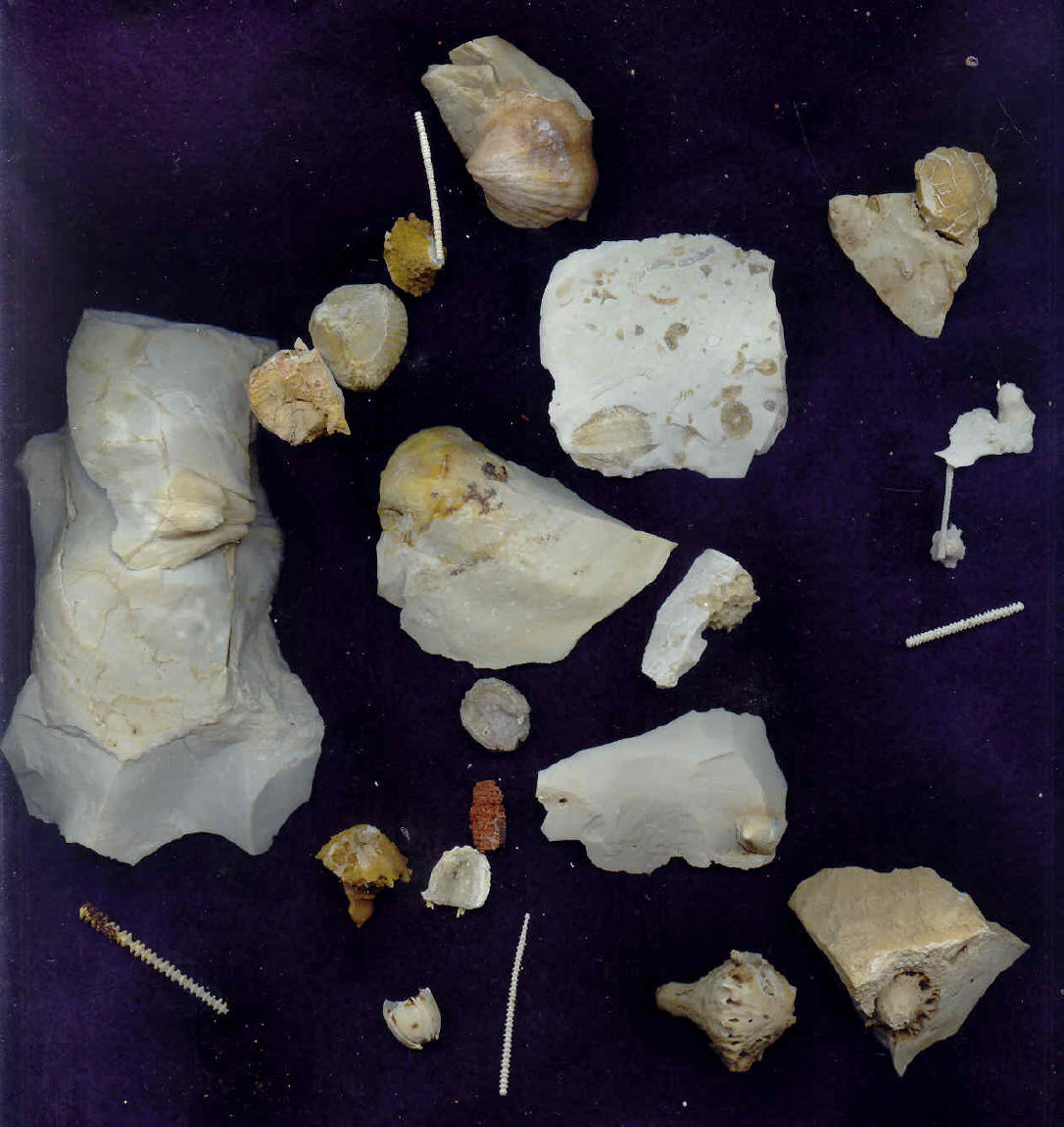 COLORFUL CRESCENT QUARRY